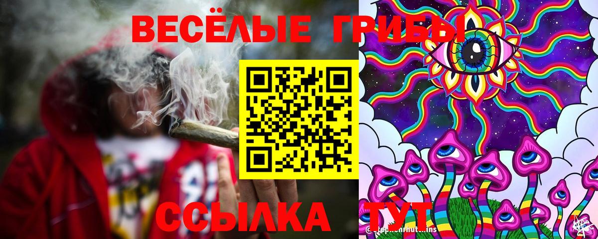 Галлюциногенные грибы Psilocybe Курган