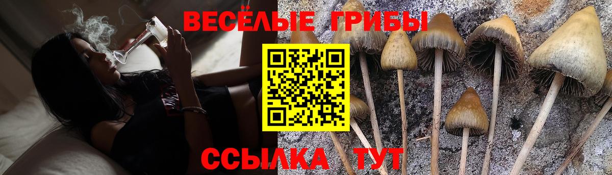 Курган  Псилоцибиновые грибы мицелий  Вход с VPN 